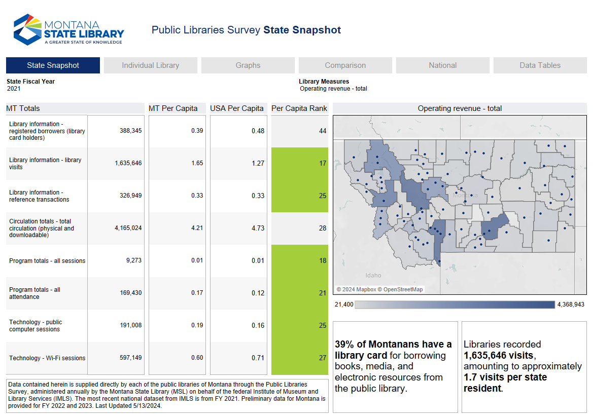 Screenshot of the Public Libraries Survey dashboard