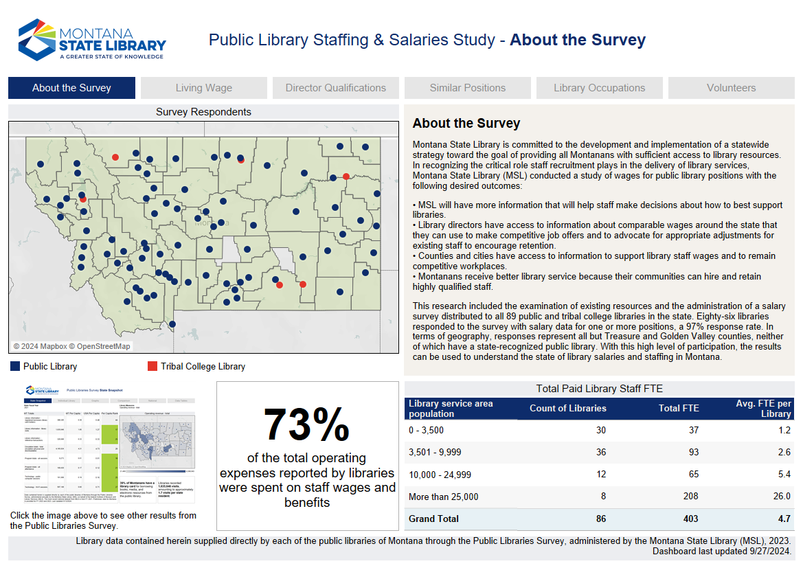 Screenshot of the Public Library Staffing & Salaries Study