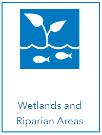 MSDI Wetlands and Riparian Areas